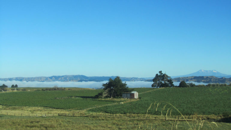 Volunteer New Zealand landscape