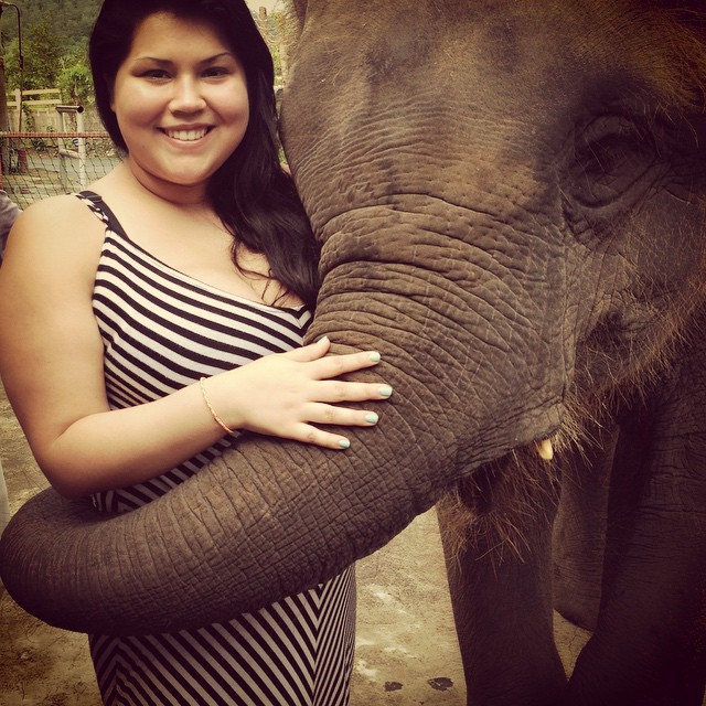 Sara Hernandez elephant