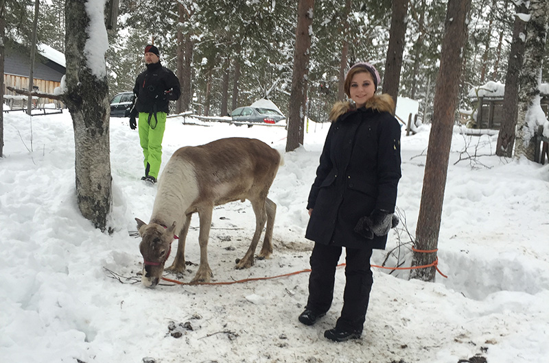 finland-natalie-reindeer