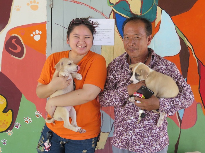 thai couple adopts puppies