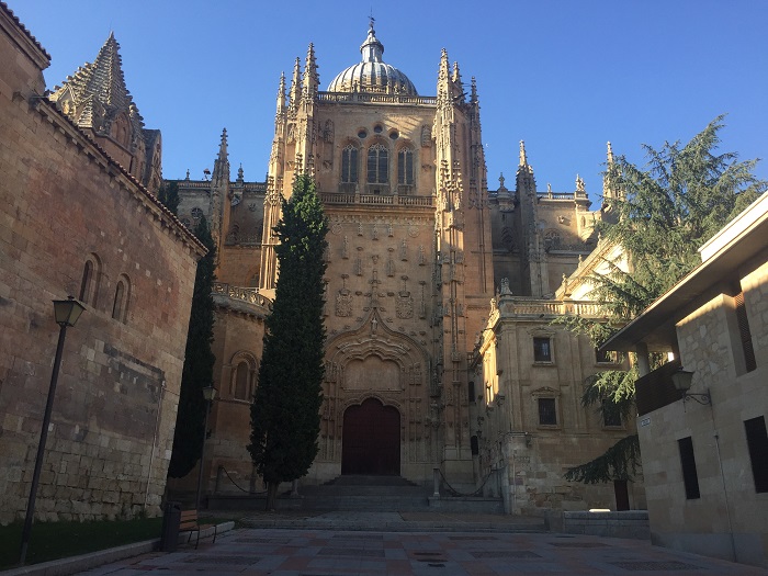 Salamanca City View