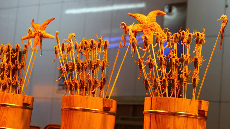 pic3-fried-insects