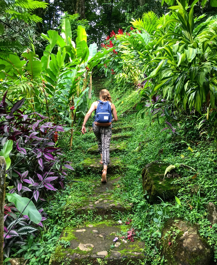 Costa Rica TEFL hike