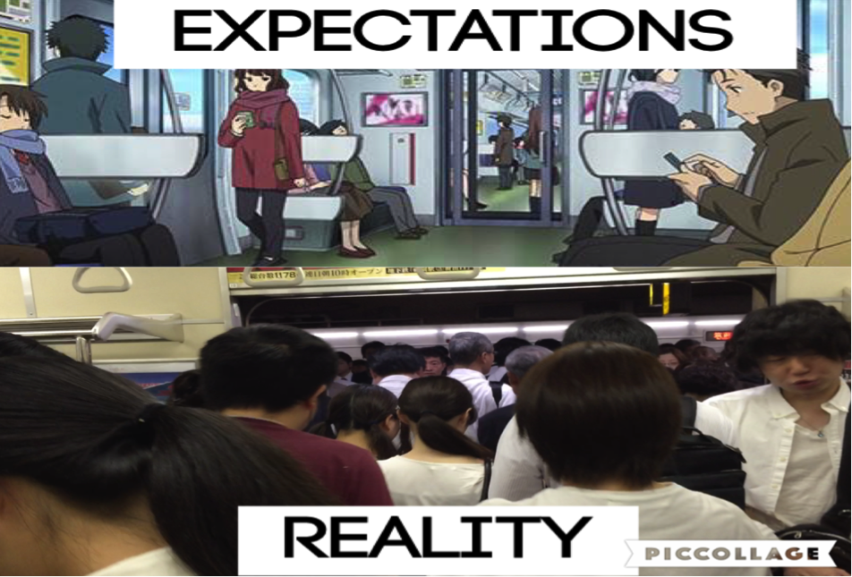 japan-reality