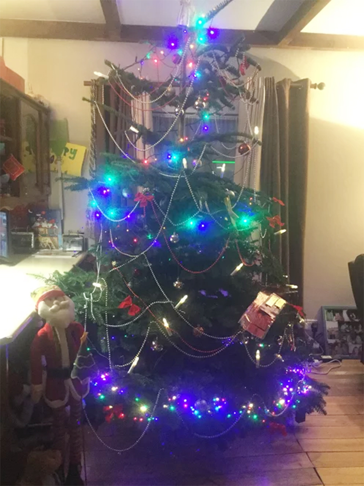 A decorated Christmas tree in Ireland.