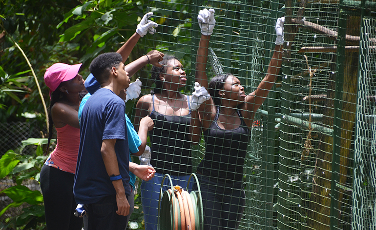 Volunteers holding up part of a cage in Costa Rica.