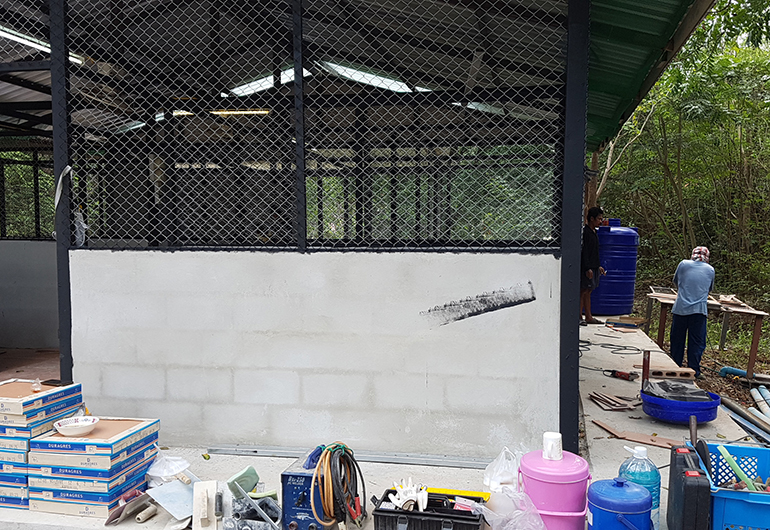 Materials used for the construction of a new kennel in Thailand.