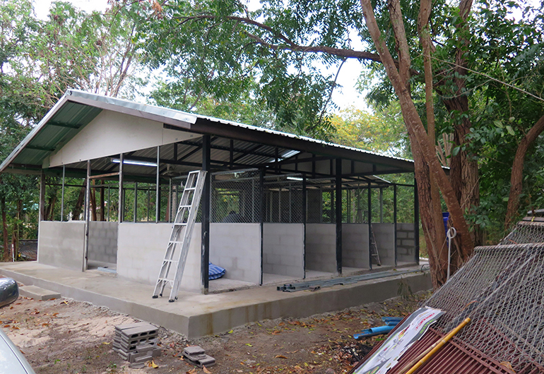 A side view of the kennel under construction.