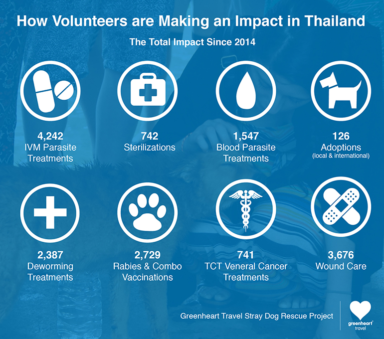 How volunteers have made an impact in Thailand since 2014 infographic.