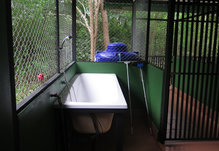 A bathtub inside a new dog kennel.