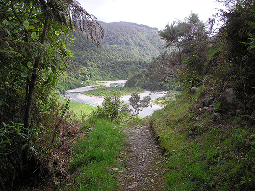 Hiking Through Swampland, Paddling Through Rapids and Jumping Off Tree Tops in New Zealand
