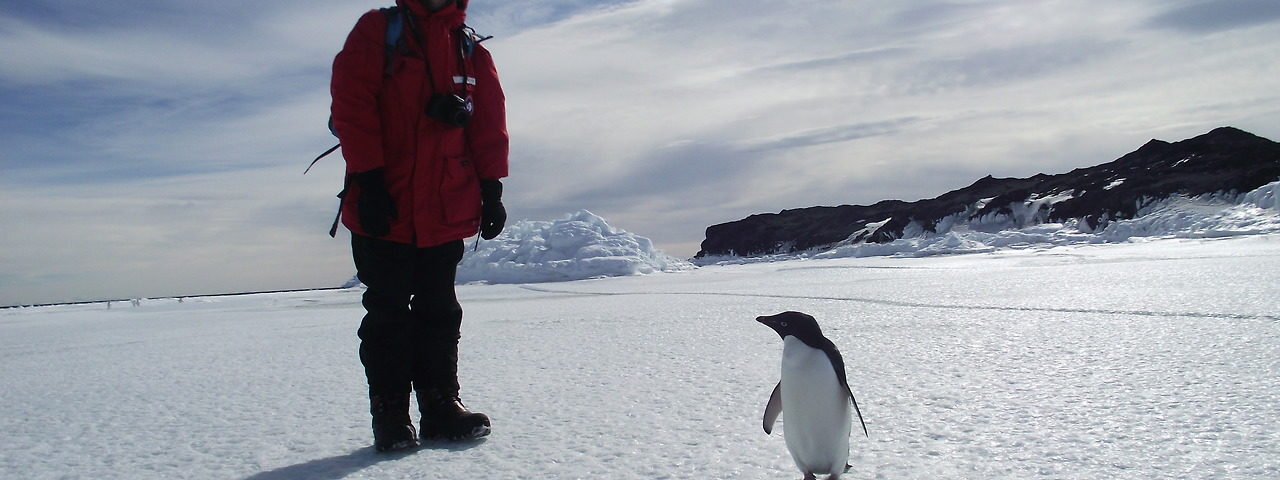 Teach English in Antarctica!