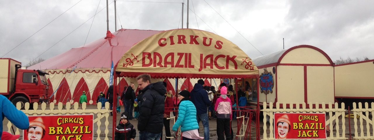 Swedish Circus