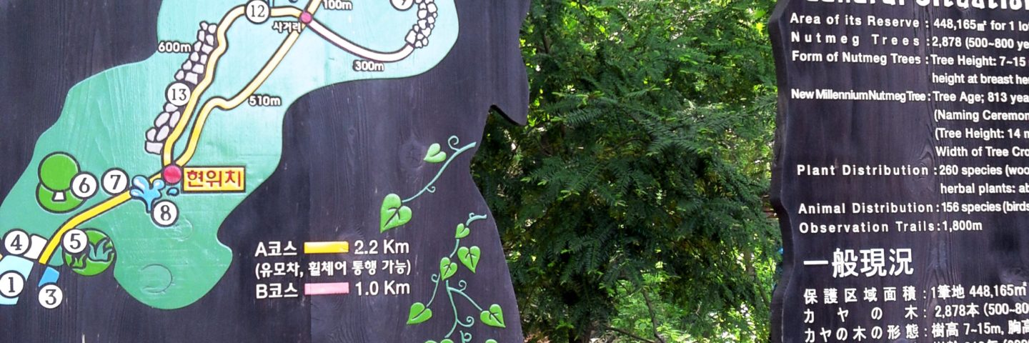 Jeju 1 & 2: Flying, Guesthouses, Bijarim Forest, Manjanggul Caves and Loveland