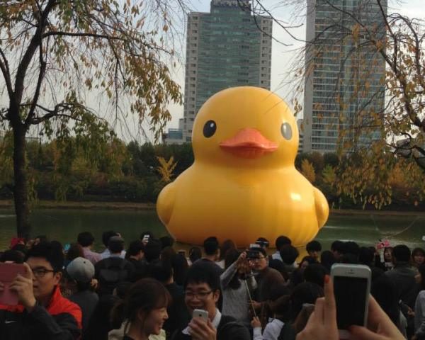 rubber duckie project