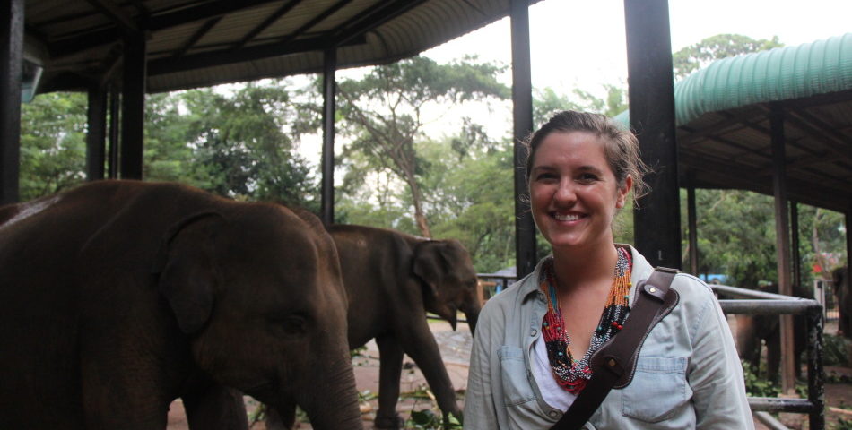 Volunteer Abroad at our NEW Conservation Project in Sri Lanka
