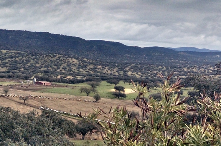 country-house-in-spain