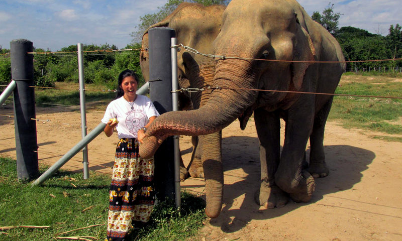 shannon-in-Thailand-with-an-elephant