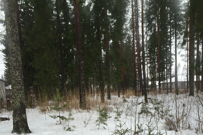 School in Finland, Skating and Exploring Helsinki