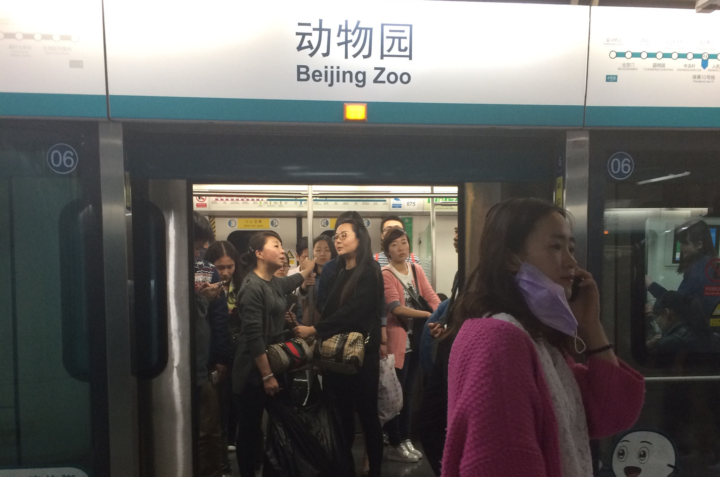 My Trip to the Beijing Zoo to See the Pandas