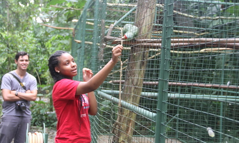 Day 4 in Costa Rica with Gary Comer College Prep Volunteers