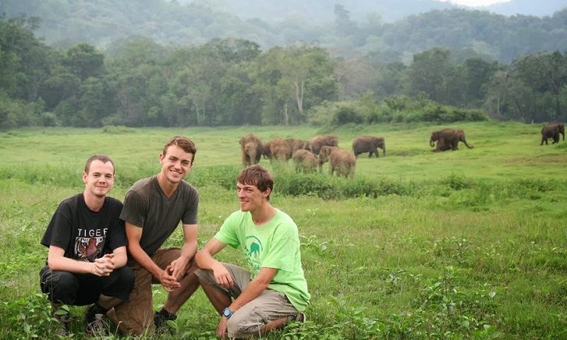 14 Photos of Elephants to Celebrate World Elephant Day