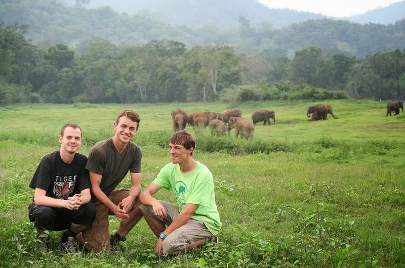 14 Photos of Elephants to Celebrate World Elephant Day