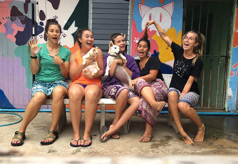 My Expectations Vs. the Reality of Volunteering with Stray Dogs in Thailand