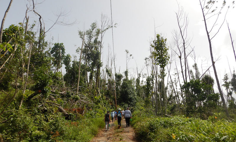 Volunteer for a Weekend in Puerto Rico: One Year After Hurricane Maria, Here’s A Way To Help