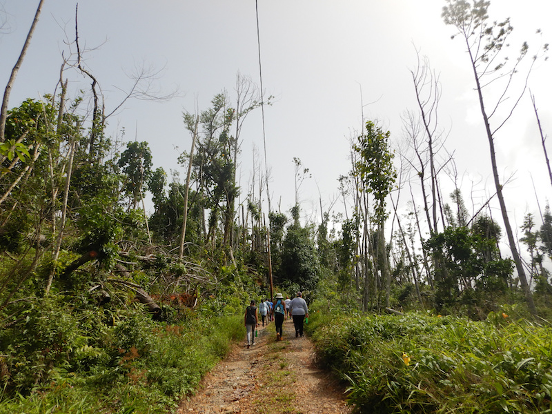 Volunteer for a Weekend in Puerto Rico: One Year After Hurricane Maria, Here’s A Way To Help