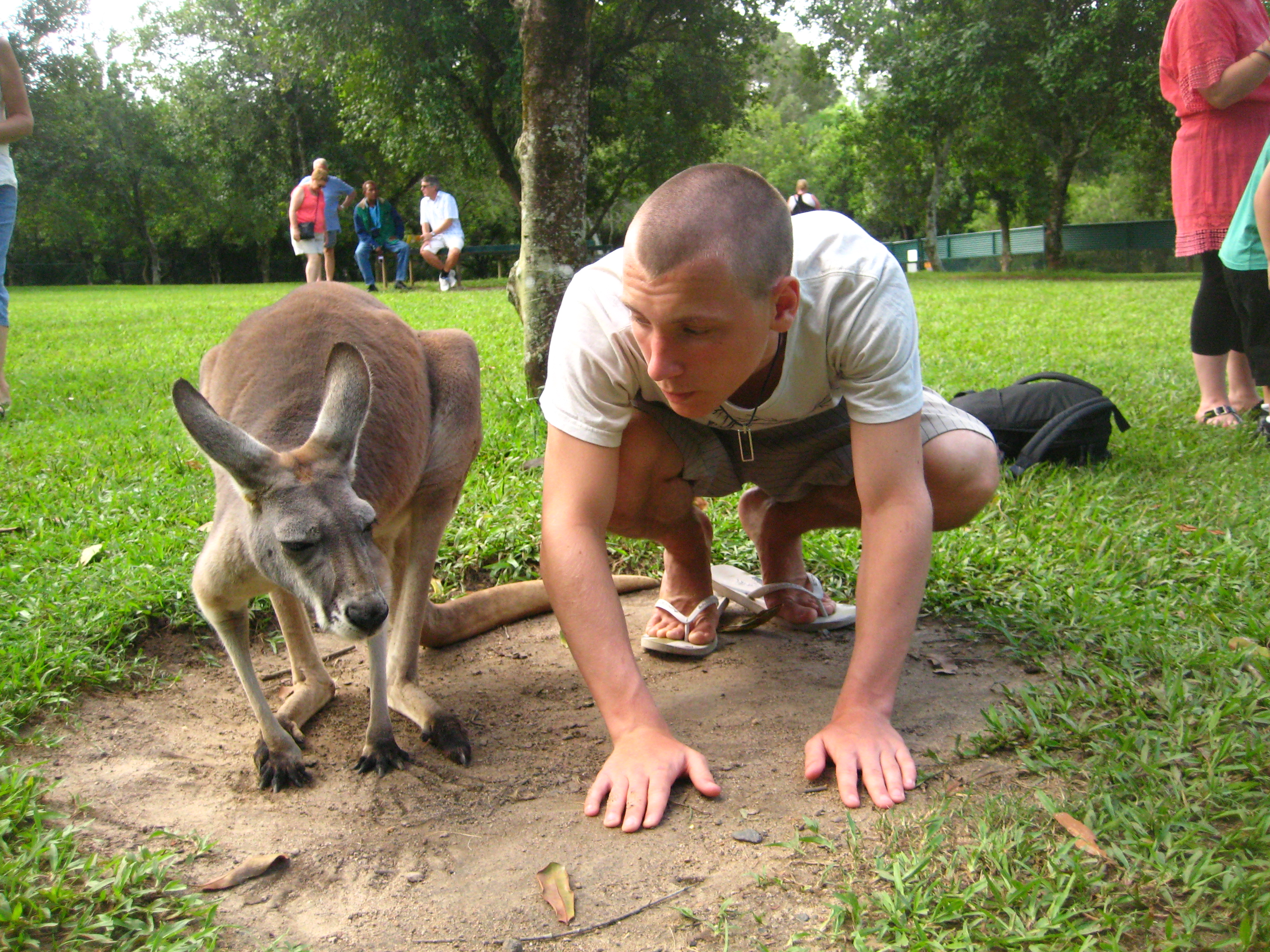 tourism australia vs new zealand