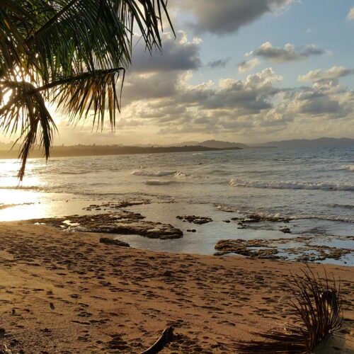 Volunteer in Bali