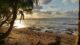 Volunteer in Bali
