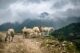 Volunteer in Nepal