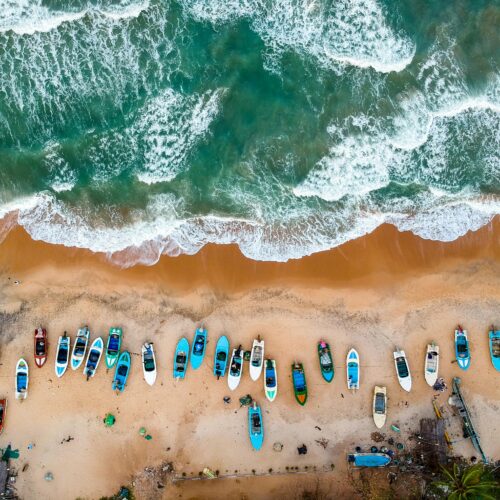 Volunteer in Sri Lanka