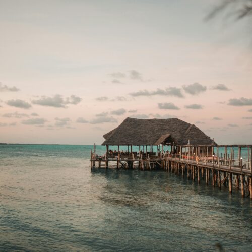 Volunteer in Zanzibar