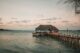 Volunteer in Zanzibar