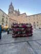 Studying in Salamanca