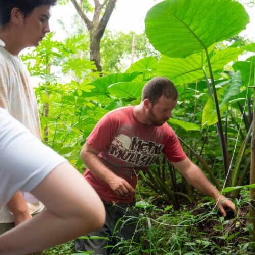 Volunteer Abroad