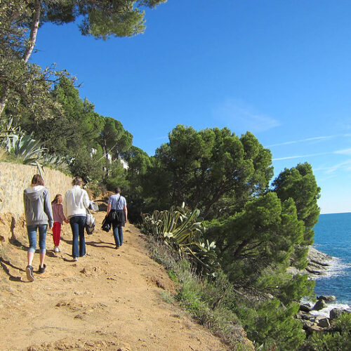 Roaming in Retirement: Teaching in a Homestay  