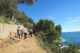Roaming in Retirement: Teaching in a Homestay  
